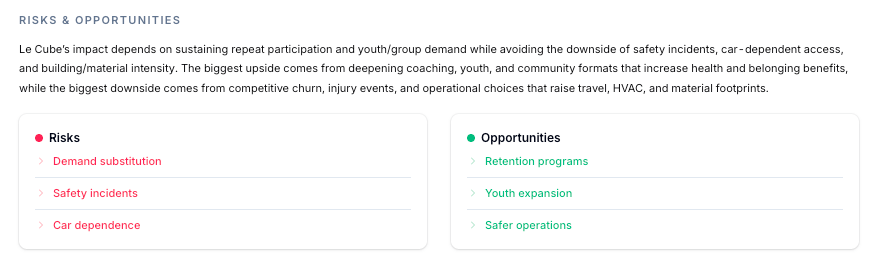 ViPlatform risk and opportunity map highlighting negative externalities and underexploited positive impacts